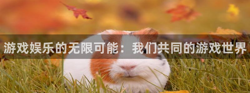 pg国际：游戏娱乐的无限可能：我们共同的游戏世界