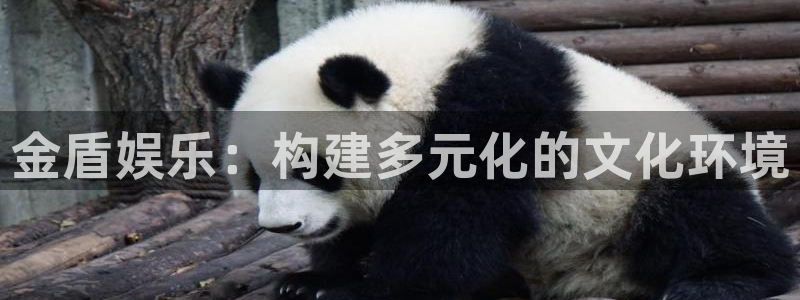 pg国际：金盾娱乐：构建多元化的文化环境