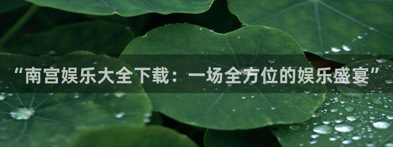 pg国际人：“南宫娱乐大全下载：一场全方位的娱乐盛宴”