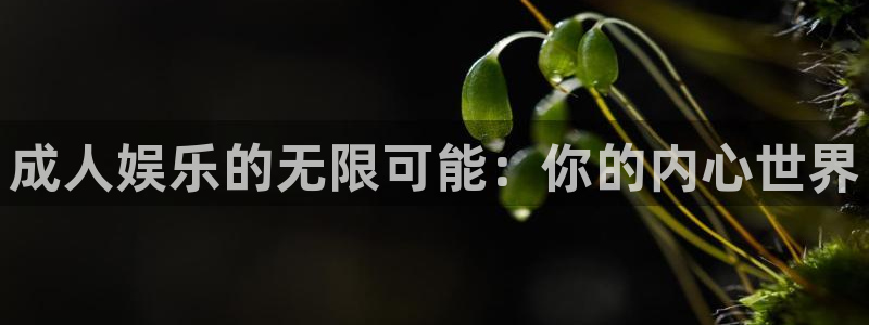 pg国际官网：成人娱乐的无限可能：你的内心世界