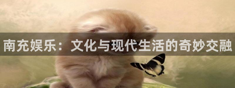 pg国际平台：南充娱乐：文化与现代生活的奇妙交融