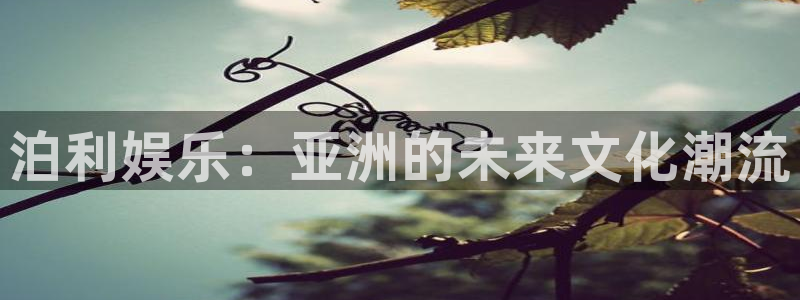 pg国际服：泊利娱乐：亚洲的未来文化潮流