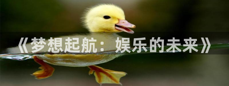 pg国际官网：《梦想起航：娱乐的未来》