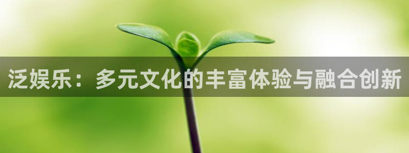 pg国际服：泛娱乐：多元文化的丰富体验与融合创新