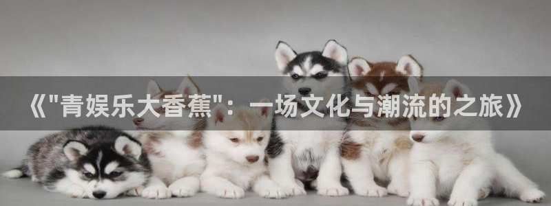 pg国际下载：《\